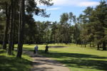 Filmstrip image 8
