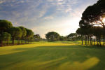 Filmstrip image 8