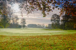 Filmstrip image 9