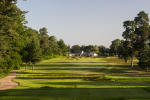 Filmstrip image 2