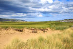 Filmstrip image 3