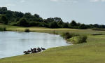 Filmstrip image 8