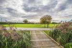 Filmstrip image 2