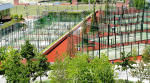 Filmstrip image 5