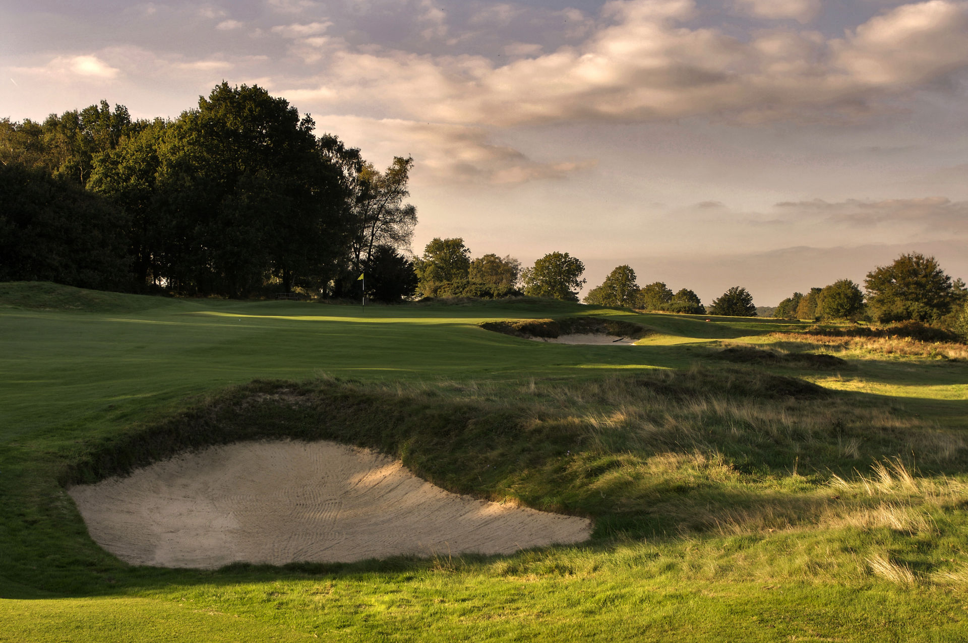 Gør det tungt absorberende Pasture Walton Heath Golf Club, Surrey - Book Golf Breaks & Holidays