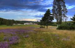 Sherwood Forest Golf Club