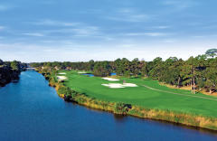 Fazio Course, Palmetto Dunes