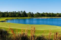 True Blue Plantation