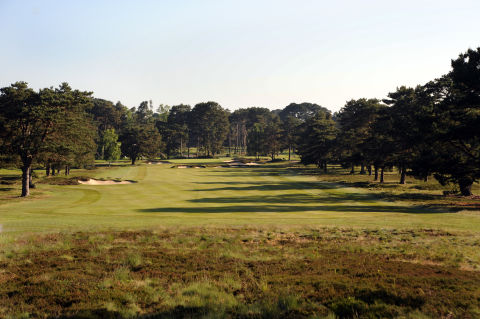 Image of Ferndown Golf Club