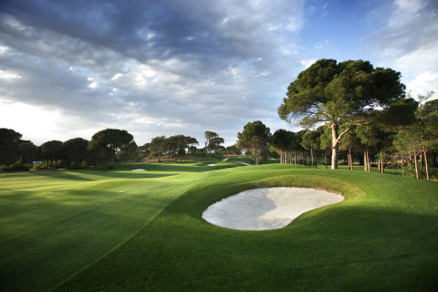 Image of The Montgomerie Maxx Royal