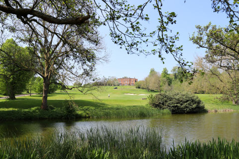 Image of The Grove