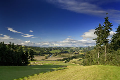 Image of Montgomerie Course at Celtic Manor