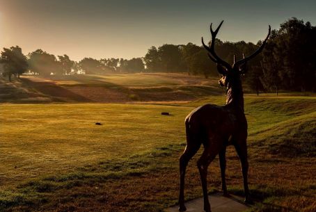 Sherwood Forest Golf Club, Nottinghamshire
