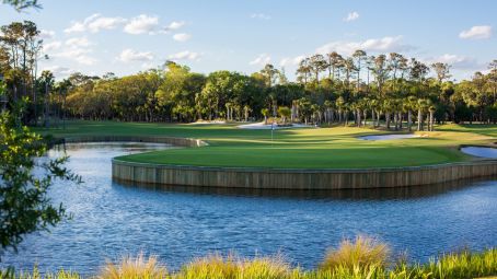 Atlantic Dunes, Hilton Head