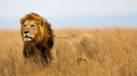 Kruger National Park