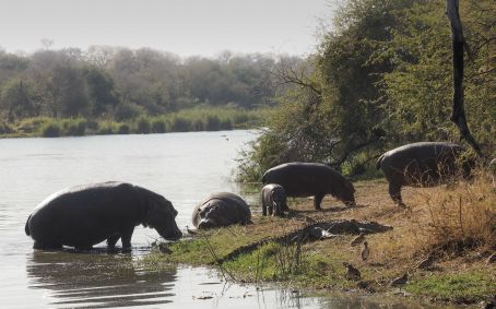 Kruger National Park
