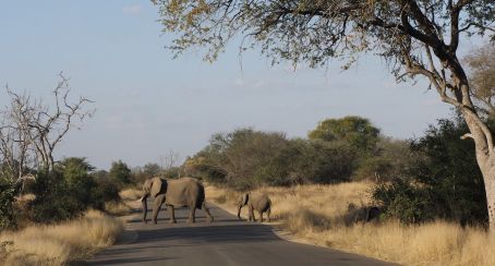 Kruger National Park