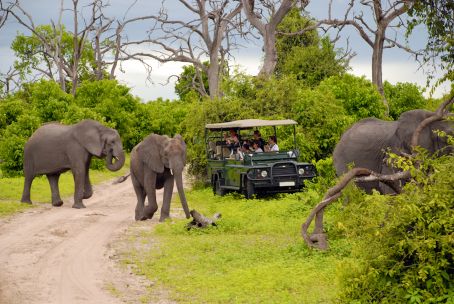 Kruger National Park
