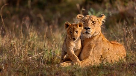 Kruger National Park
