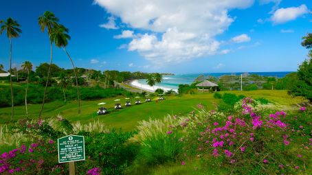 Mount Irvine Bay Resort