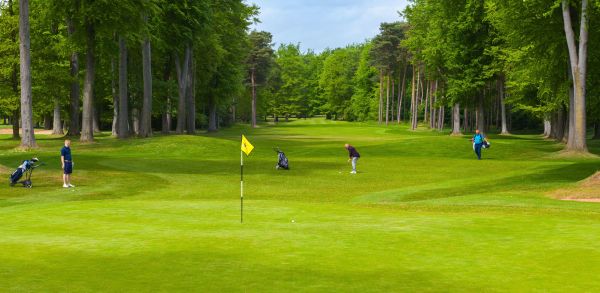 Q Hotels Golf Resort Trip Review
